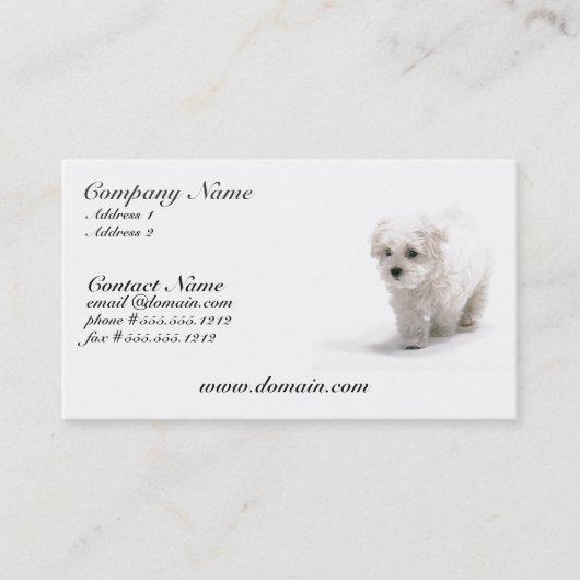 Bichon Frise Dog Visitekaartje (Voorkant)