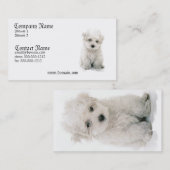 Bichon Frise Dog Visitekaartje (Voorkant / Achterkant)