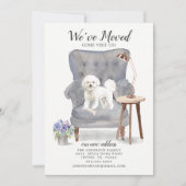 Bichon Frise Dog We hebben de aankondiging verplaa (Voorkant)