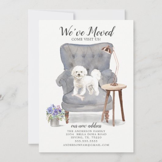 Bichon Frise Dog We hebben de aankondiging verplaa (Voorkant)