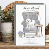 Bichon Frise Dog We hebben de aankondiging verplaa