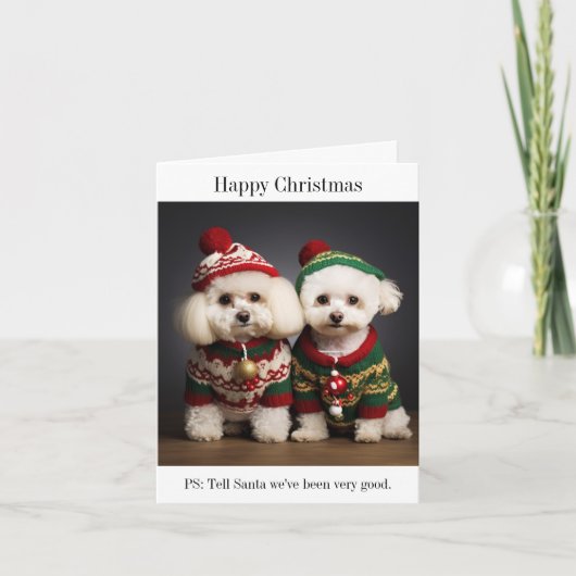 Bichon Frise Dogs Kerst Kaart (Voorkant)