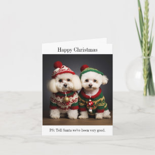 Bichon Frise Dogs Kerst Kaart