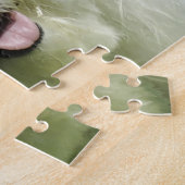 Bichon Frise Dogs. Legpuzzel (Zijkant)