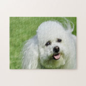 Bichon Frise Dogs. Legpuzzel (Horizontaal)