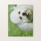 Bichon Frise Dogs. Legpuzzel (Verticaal)