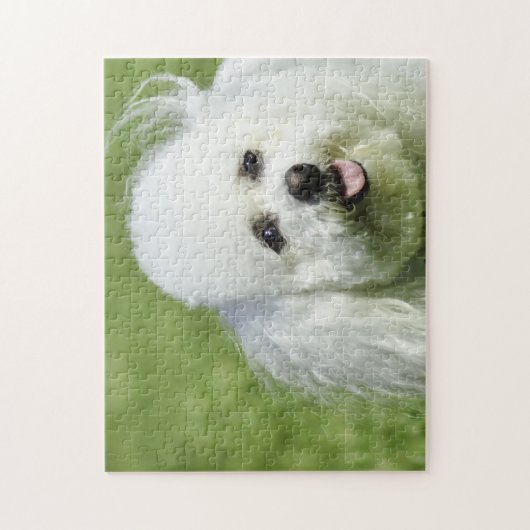 Bichon Frise Dogs. Legpuzzel (Verticaal)
