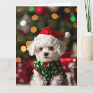 Bichon Frise Elf Puppy Christmas Kaart