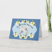 Bichon Frise en zijn Blue Dogwood Sympathy Kaart (Voorkant)