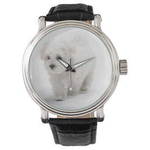 Bichon Frise Foto Horloge