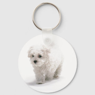 Bichon Frise Foto Sleutelhanger