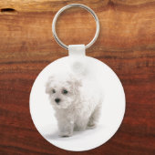 Bichon Frise Foto Sleutelhanger (Voorkant)