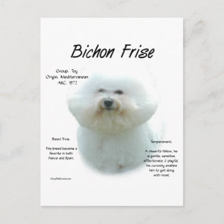 Bichon Frise Geschiedenis; Alles over Bichon Frise Briefkaart