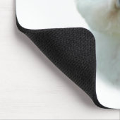 Bichon Frise Geschiedenis; Alles over Bichon Frise Muismat (Hoek)