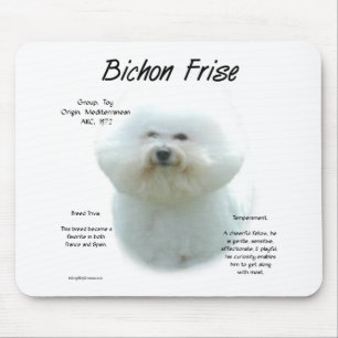 Bichon Frise Geschiedenis; Alles over Bichon Frise Muismat