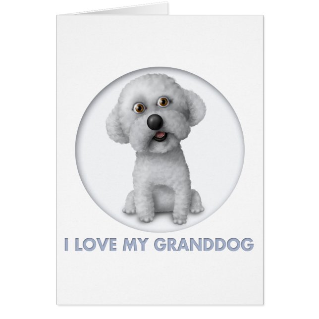 Bichon Frise Granddog (Voorkant)