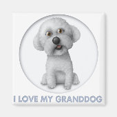 Bichon Frise Granddog Magneet (Voorkant)