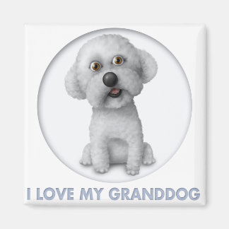 Bichon Frise Granddog Magneet