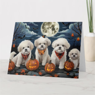 Bichon Frise Halloween Griezelig Kaart