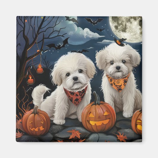Bichon Frise Halloween Griezelig Magneet (Voorkant)