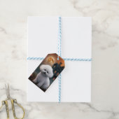 Bichon Frise Halloween Scary Cadeaulabel (Met Touw)