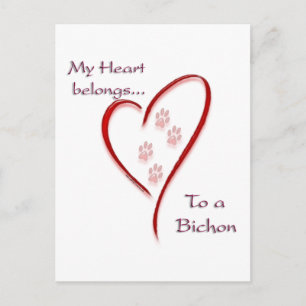 Bichon Frise Heart hoort erbij Briefkaart