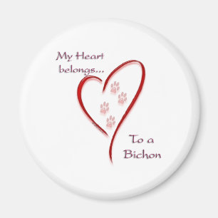 Bichon Frise Heart hoort erbij Magneet