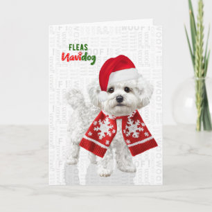 Bichon Frise Hond Grappige Vlooien Navidog Kerstmi Feestdagen Kaart