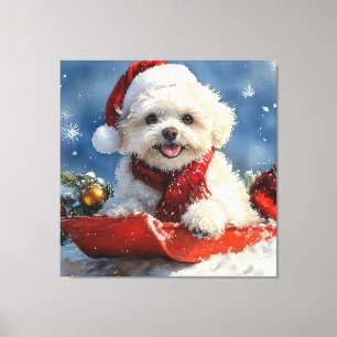 Bichon Frise Hond in Sledge Laat het Sneeuw Kerstm Canvas Afdruk