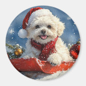 Bichon Frise Hond in Sledge Laat het Sneeuw Kerstm Magneet (Voorkant)