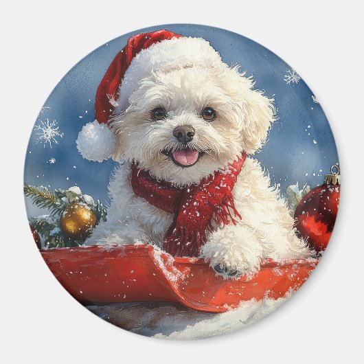 Bichon Frise Hond in Sledge Laat het Sneeuw Kerstm Magneet (Voorkant)