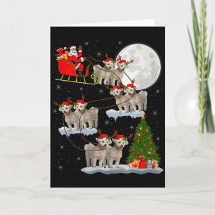 Bichon Frise hond Kerstman slee vliegend grappig m Kaart