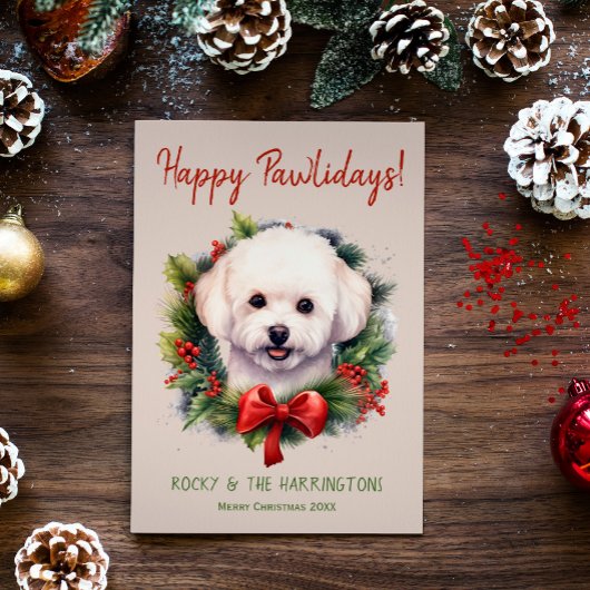 Bichon Frise Hond Kerstmis Gelukkige Pawholidays Feestdagenkaart