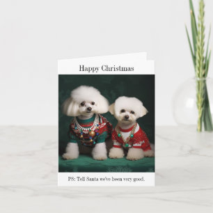 Bichon Frise Honden in Kersttruien Kaart