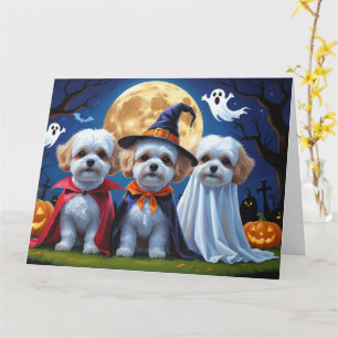 Bichon Frise Honden Pompoen Halloween Grappig Kaart