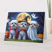 Bichon Frise Honden Pompoen Halloween Grappig Kaart (Voorkant)