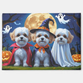 Bichon Frise Honden Pompoen Halloween Grappig Magneet (Voorkant)