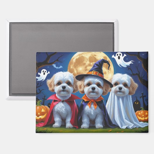Bichon Frise Honden Pompoen Halloween Grappig Magneet (Voorkant / Achterkant)