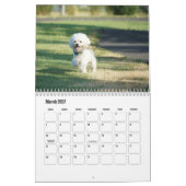 Bichon Frise hondenkalender Kalender (Mar 2027)