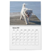 Bichon Frise hondenkalender Kalender (Feb 2027)
