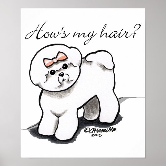 Bichon Frise Hows My Hair Poster (Voorkant)