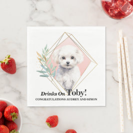 Bichon Frise Ik Doe Ook Servetten Met Honden Foto