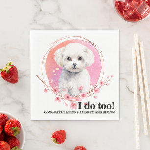 Bichon Frise Ik Doe Ook Servetten Met Honden Foto