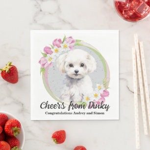 Bichon Frise Ik Doe Ook Servetten Met Honden Foto