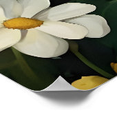 Bichon Frise In Bathtub Poster, Funny Dog Poster (Hoek)