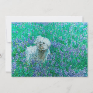 Bichon Frise in Blauwe Lupinen Bedankkaart