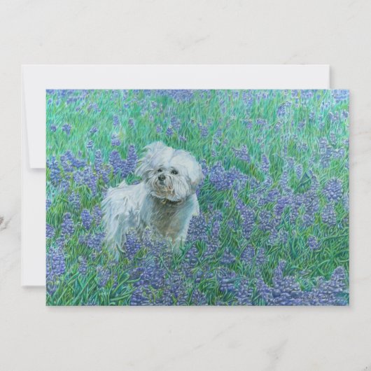 Bichon Frise in Blauwe Lupinen Bedankkaart (Voorkant)