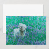 Bichon Frise in Bluebonnets Bedankkaart (Voorkant / Achterkant)