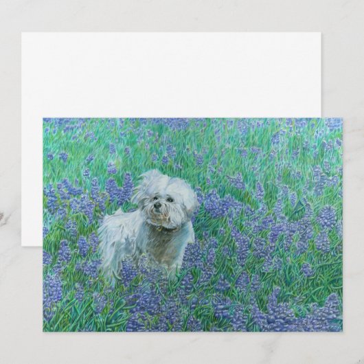 Bichon Frise in Bluebonnets Bedankkaart (Voorkant / Achterkant)