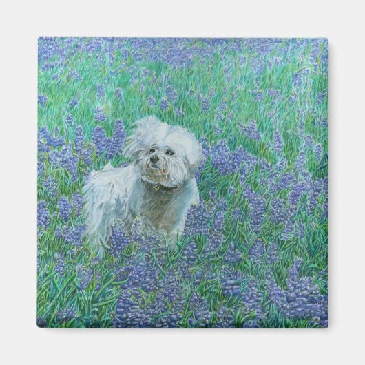 Bichon Frise in Bluebonnets Magneet (Voorkant)
